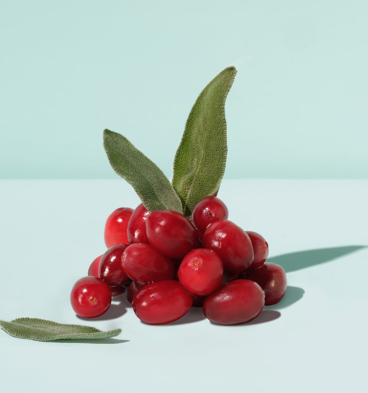 Cranberry Sage Social Tonic